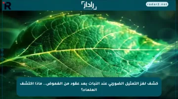 كشف لغز التمثيل الضوئي عند النبات بعد عقود من الغموض.. ماذا اكتشف العلماء؟
